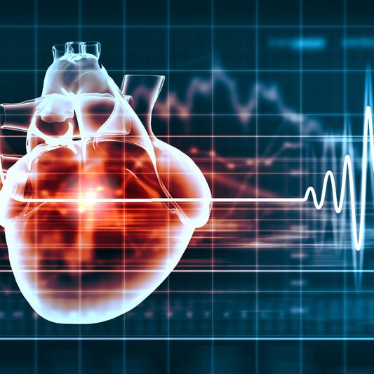 Virtual image of human heart with cardiogram (1)